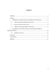 Klaipėdos uosto krovos analizė 2 puslapis