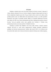 Klaipėdos uosto krovos analizė 12 puslapis