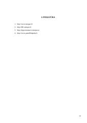 Klaipėdos uosto krovos analizė 13 puslapis