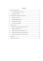 LKAB „Klaipėdos smeltė“ uosto ir laivybos valdymo referatas 2 puslapis