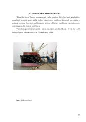 LKAB „Klaipėdos smeltė“ uosto ir laivybos valdymo referatas 10 puslapis