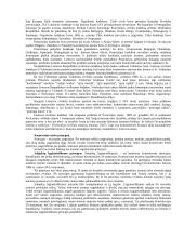 Komercinės teises konspektas 2 puslapis