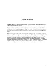 Paauglio psichosocialinės raidos tyrimas 8 puslapis