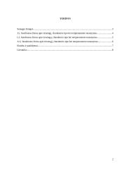 Suaugusiųjų psichosocialinės raidos tyrimas 2 puslapis