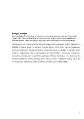 Suaugusiųjų psichosocialinės raidos tyrimas 3 puslapis