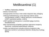 Kvėpavimo sistemą veikiantys vaistai skaidrės 15 puslapis