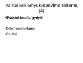 Kvėpavimo sistemą veikiantys vaistai skaidrės 5 puslapis