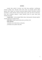 Firmos gamybos kaštai - mikroekonomikos referatas 2 puslapis