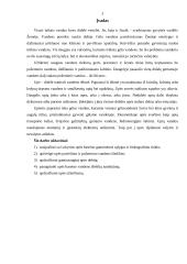 Vandens ūkio statiniai ir aplinka. Lokystos upės baseinas 3 puslapis