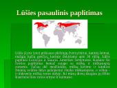 Lūšies paplitimas Lietuvoje ir jos apsauga 2 puslapis