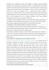 "Paryžiaus katedra" recenzija 5 puslapis
