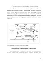 Azoto ciklas 12 puslapis