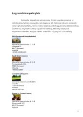 Kelionės į pasirinktiną miestą organizavimas. Dortmundas 11 puslapis