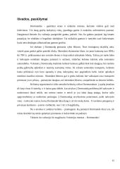 Kelionės į pasirinktiną miestą organizavimas. Dortmundas 15 puslapis