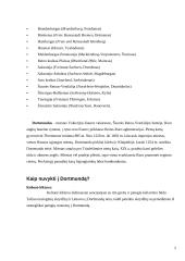 Kelionės į pasirinktiną miestą organizavimas. Dortmundas 5 puslapis