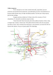 Kelionės į pasirinktiną miestą organizavimas. Dortmundas 10 puslapis