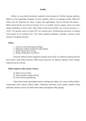 Miškų nykimas ir apsauga Lietuvoje 3 puslapis