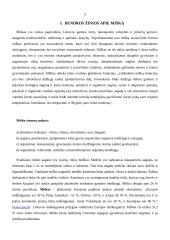 Miškų nykimas ir apsauga Lietuvoje 4 puslapis