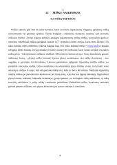 Miškų nykimas ir apsauga Lietuvoje 5 puslapis