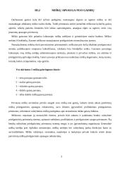 Miškų nykimas ir apsauga Lietuvoje 9 puslapis