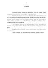 Rinkimų teisės įgyvendinimo ypatumai tarpukario Lietuvoje 3 puslapis