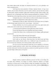 Rinkimų teisės įgyvendinimo ypatumai tarpukario Lietuvoje 5 puslapis