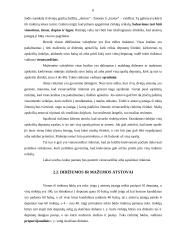 Rinkimų teisės įgyvendinimo ypatumai tarpukario Lietuvoje 6 puslapis