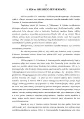 Rinkimų teisės įgyvendinimo ypatumai tarpukario Lietuvoje 10 puslapis