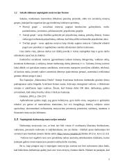 Nematerialinis darbuotojų skatinimas konspektas 3 puslapis