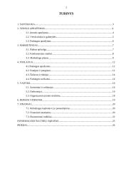 Individualios įmonės „Ola“ verslo planas 2 puslapis