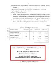 Individualios įmonės „Ola“ verslo planas 11 puslapis