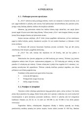 Individualios įmonės „Ola“ verslo planas 12 puslapis