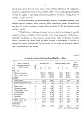 Individualios įmonės „Ola“ verslo planas 13 puslapis