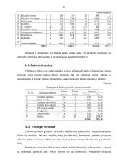 Individualios įmonės „Ola“ verslo planas 14 puslapis