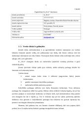 Individualios įmonės „Ola“ verslo planas 5 puslapis