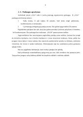 Individualios įmonės „Ola“ verslo planas 6 puslapis