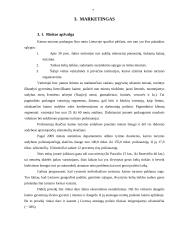 Individualios įmonės „Ola“ verslo planas 7 puslapis