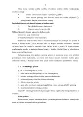 Individualios įmonės „Ola“ verslo planas 9 puslapis