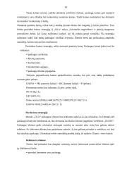 Individualios įmonės „Ola“ verslo planas 10 puslapis