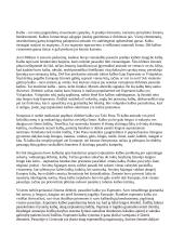 Žmonija nuolat bando sukurti visiems suprantamą, tobulą kalbą. Pristatykite tokių bandymų ir  argumentuotai paaiškinkite, kuris iš jų labiau pavyko. 3 puslapis