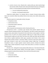 Prognozavimo reikšmė organizacijos funkcionavimui 16 puslapis