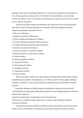 Produkcijos savikainos kalkuliavimas 12 puslapis