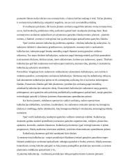 Produkcijos savikainos kalkuliavimas 14 puslapis