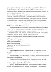 Produkcijos savikainos kalkuliavimas 15 puslapis