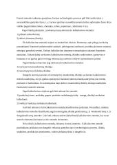 Produkcijos savikainos kalkuliavimas 16 puslapis