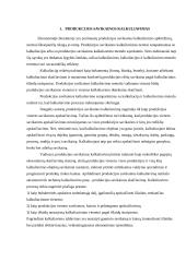 Produkcijos savikainos kalkuliavimas 3 puslapis