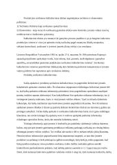 Produkcijos savikainos kalkuliavimas 4 puslapis