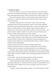 Produkcijos savikainos kalkuliavimas 9 puslapis