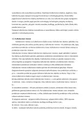 Produkcijos savikainos kalkuliavimas 10 puslapis