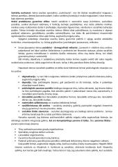 Krizė šeimoje gimus neįgaliam vaikui 2 puslapis